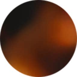 LUNETTES DE SOLEIL EN ACÉTATE UNISEXES