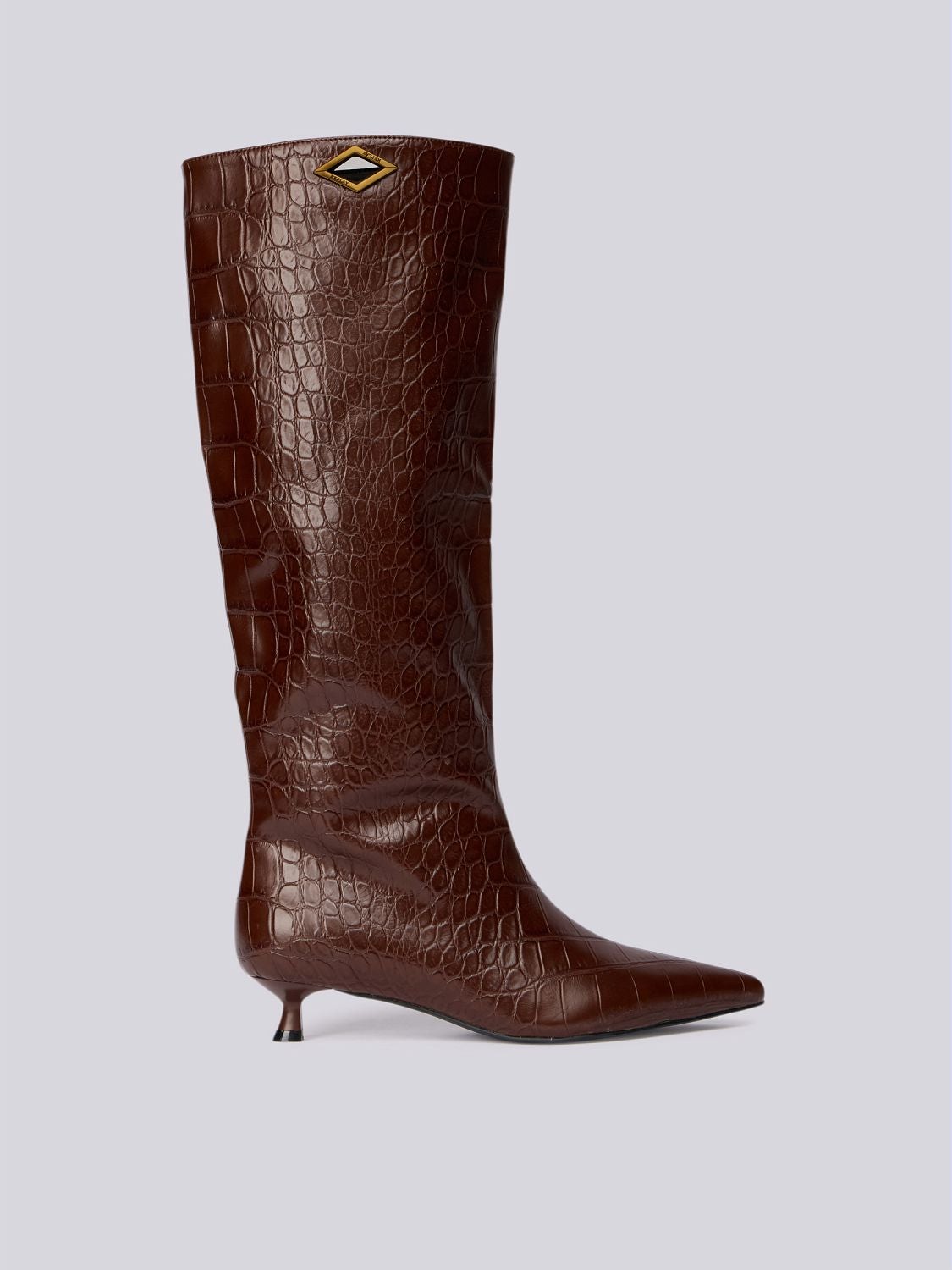 REPLAY ALDER SHARK POINTED-TOE BOOTS GWN91 .000.C0008S CHOCOLATE 1